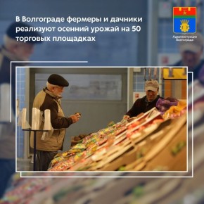 Осенью, в разгар сезона уборки урожая, местные дачники и сельхозтоваропроизводители реализуют свой урожай на сельскохозяйственных и всесезонных ярмарках, места для проведения которых ранее были определены муниципалитетом
