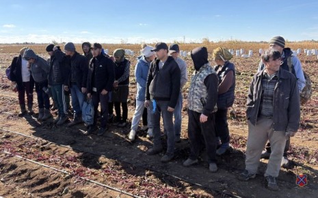 В Городищенском районе выявлен факт фиктивной постановки на учет иностранных граждан