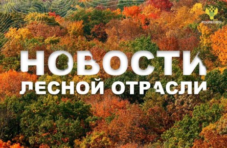 Смотрим: В России внедряется новый метод Федеральной Авиалесоохраны по применению беспилотников для мониторинга и тушения лесных пожаров