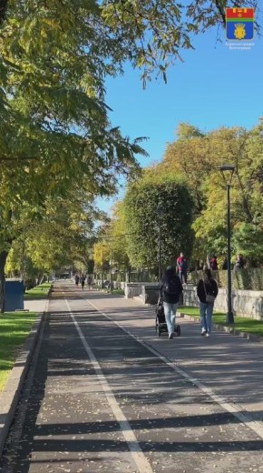 В Волгограде наступила золотая осень
