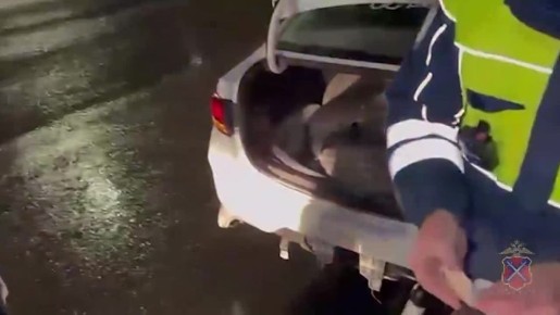 В Волгограде задержан водитель такси, хранивший наркотики