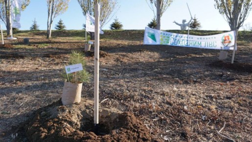 В Волгоградской области стартовала акция «Сохраним лес»